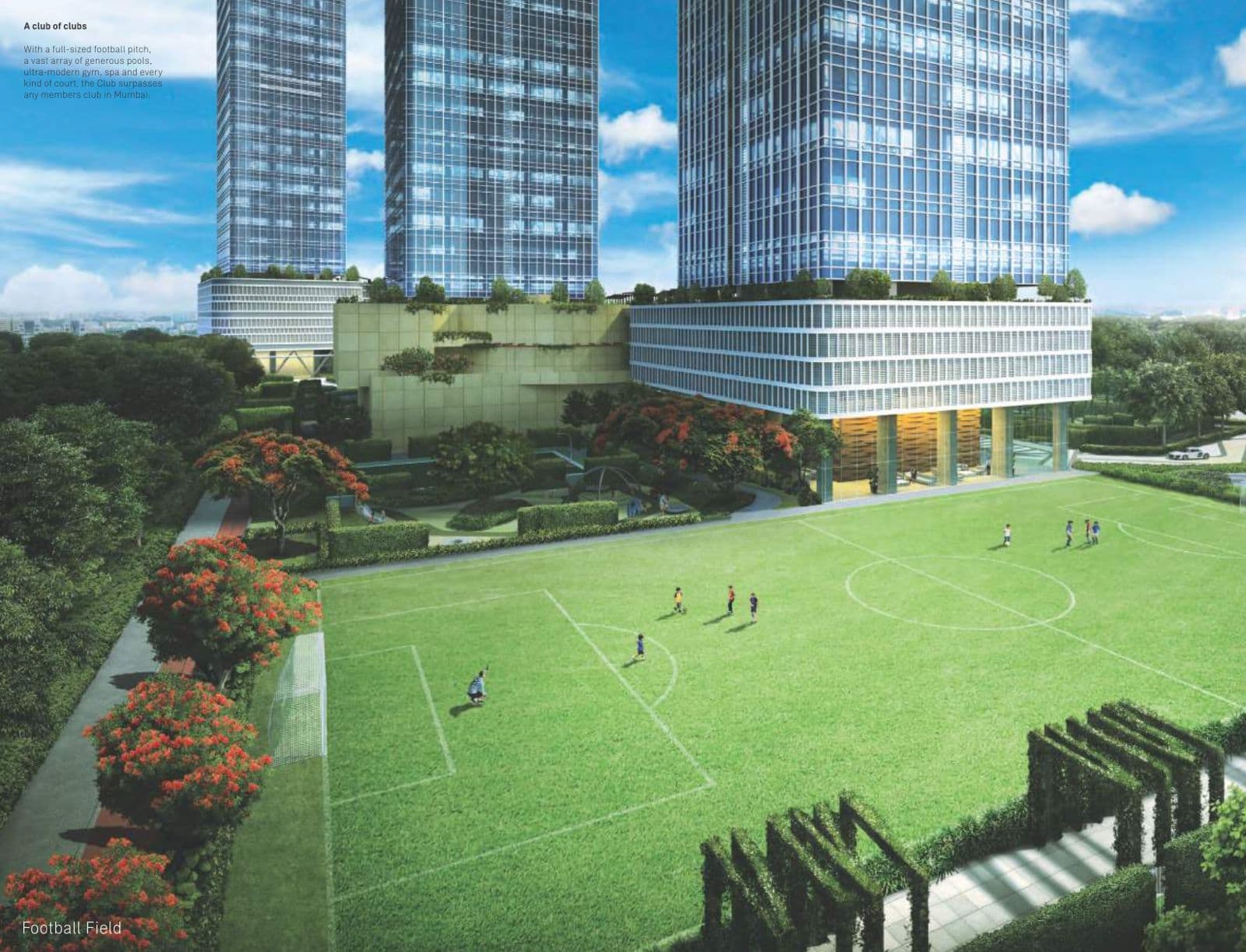 Indiabulls Blu view 5