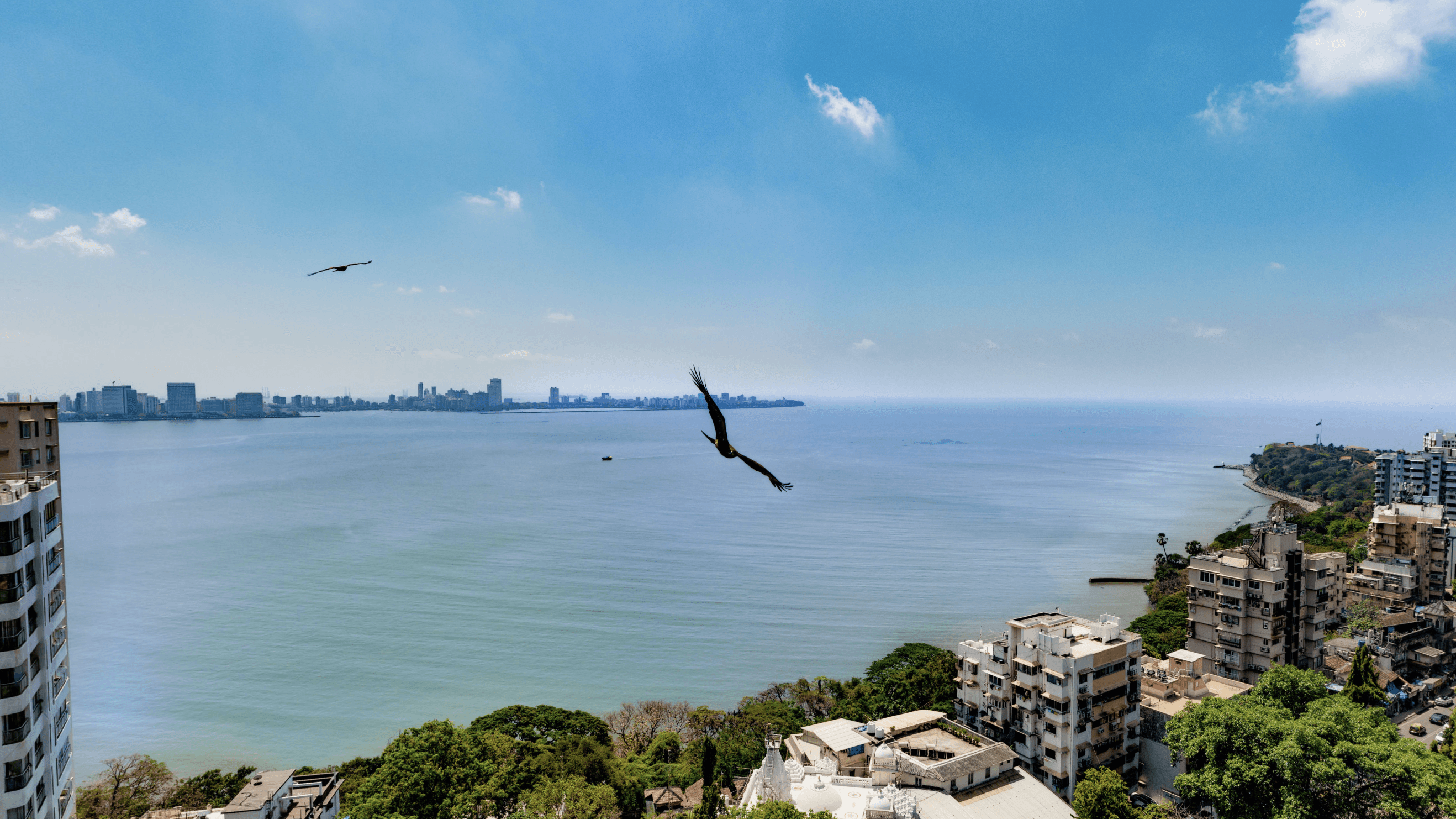 Ruparel House view 5